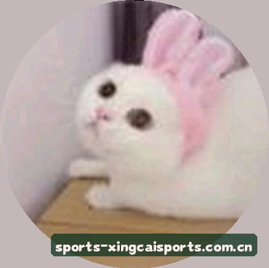 圆圆